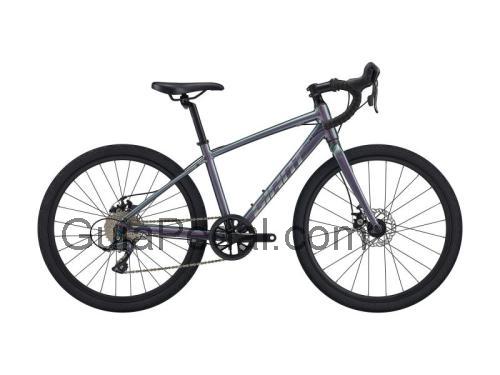 Giant TCX Espoir 24 ficha técnica y opiniones
